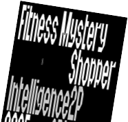 Widget - Fitness Mystery Shopper 2025 Intelligence 2P