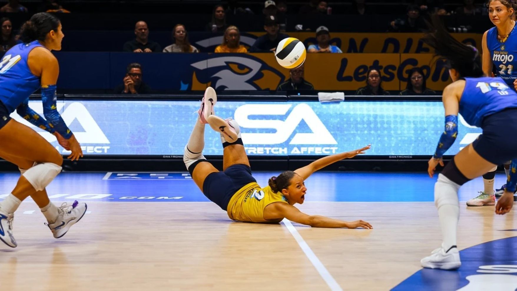 Pro Volleyball Federation USA 2025