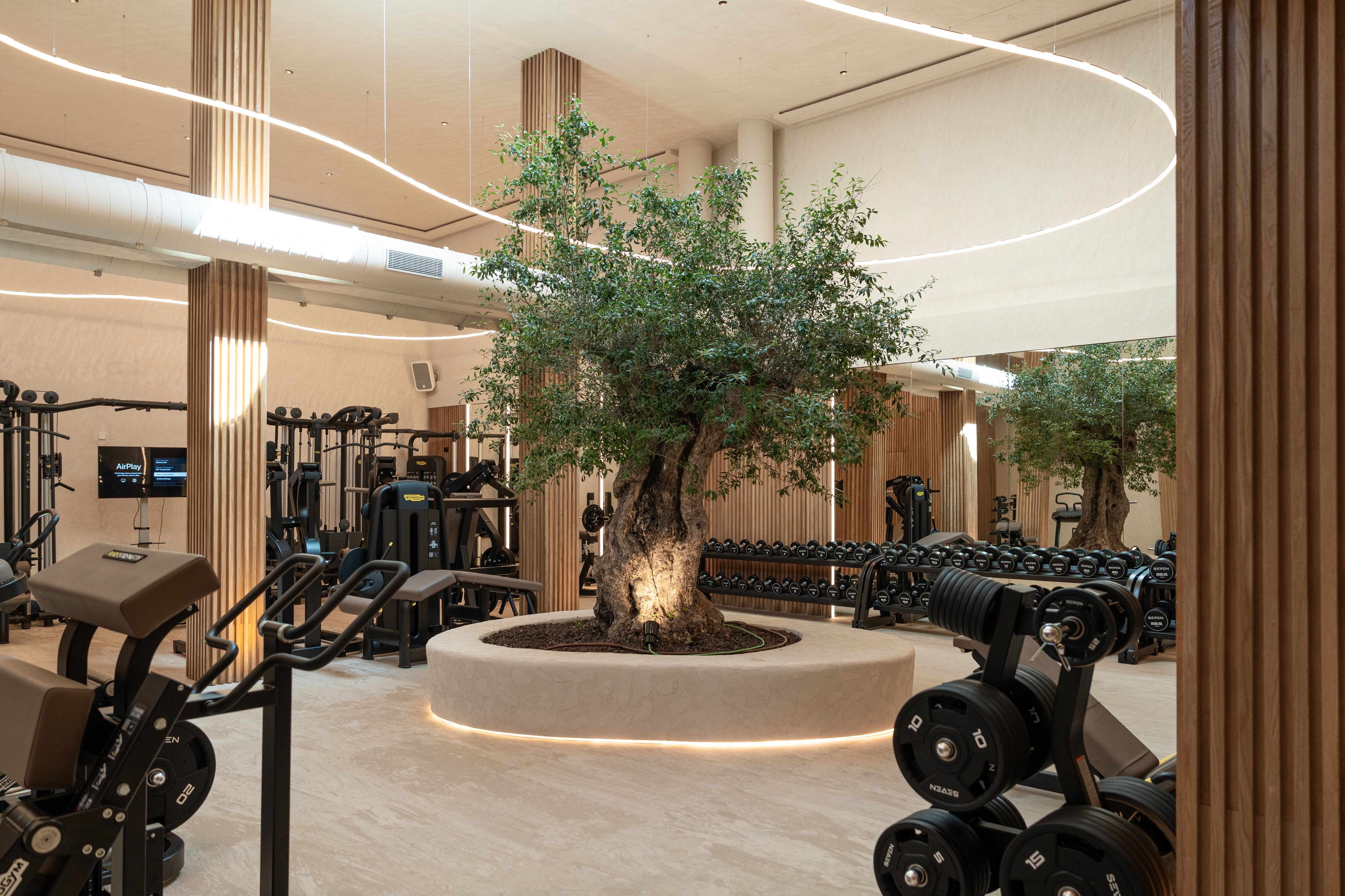 Gimnasio Seven Wellness Ibiza Technogym 1