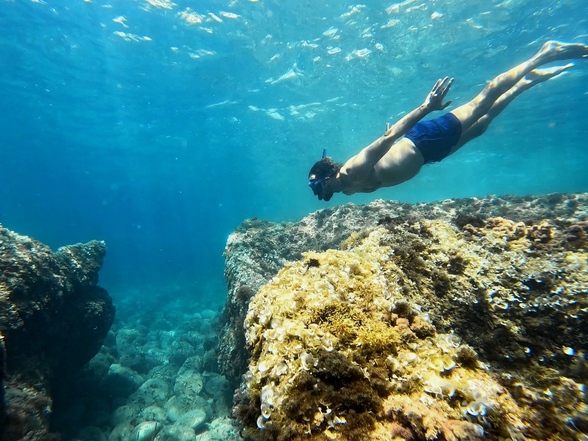 Las aguas cristalinas de Benissa invitan a sumergirse y descubrir la riqueza submarina del Mediterráneo, ideal para snorkel y submarinismo