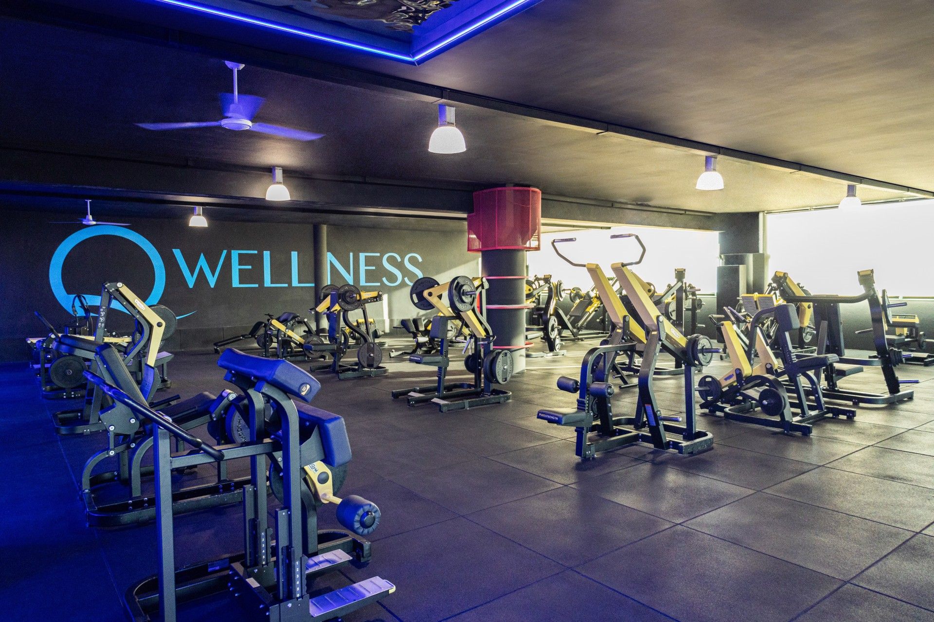 Zona de fuerza en QWellness Sabadell