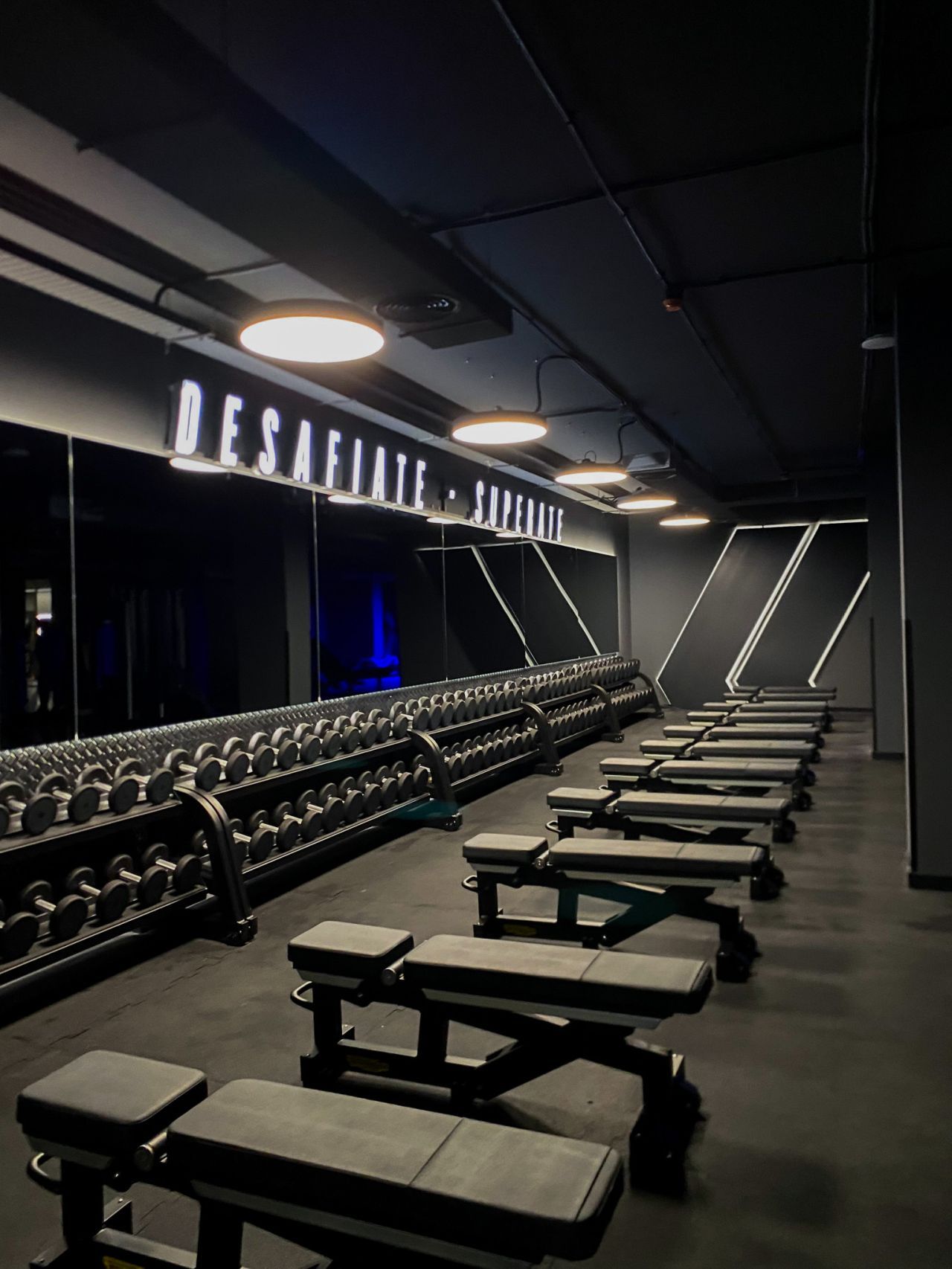 Gimnasio fitness park sala peso libre