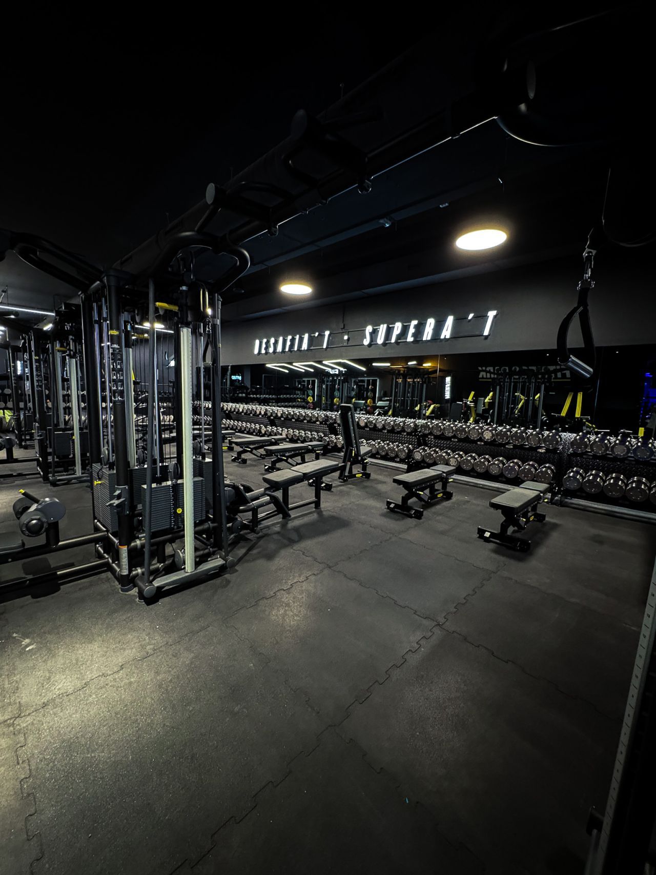 Gimnasio fitness park