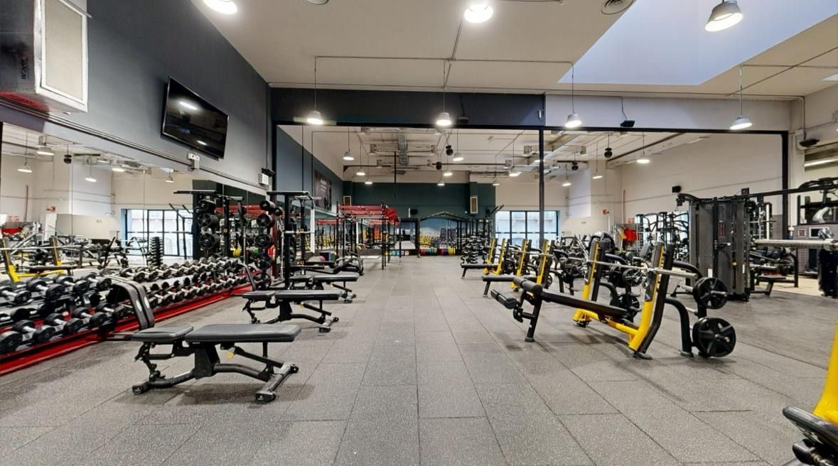 FitUp Gimnasio zona peso libre