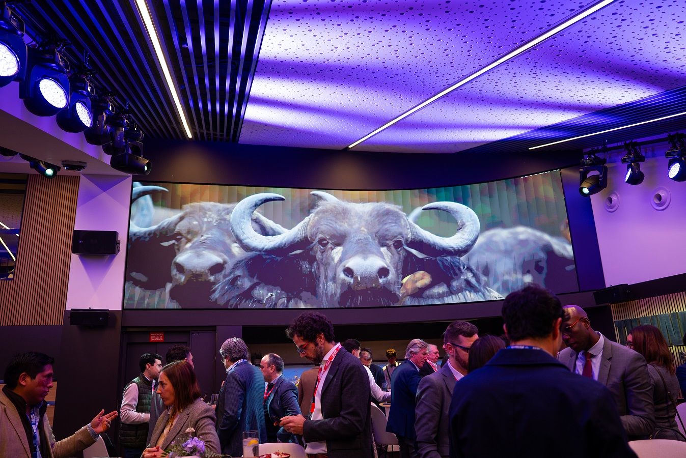 Visit Rwanda despliega una activación integral durante el Atlético de Madrid–Real Betis, llevando su marca del terreno de juego a toda la ciudad.