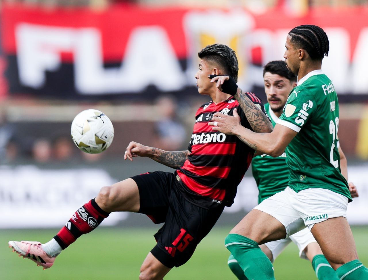 Flamengo Palmeiras Brasil 2025