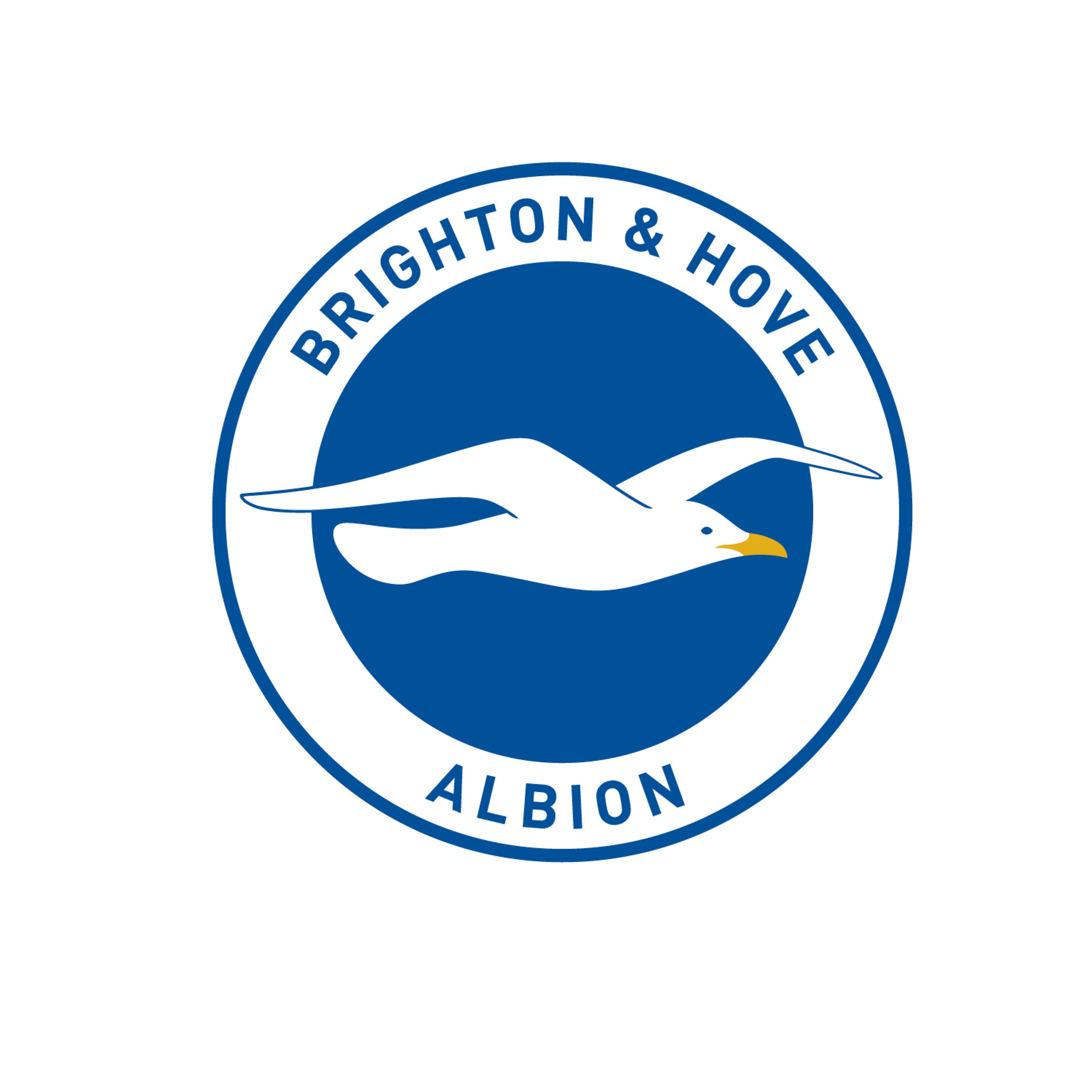 BRIGHTON & HOVE ALBION 