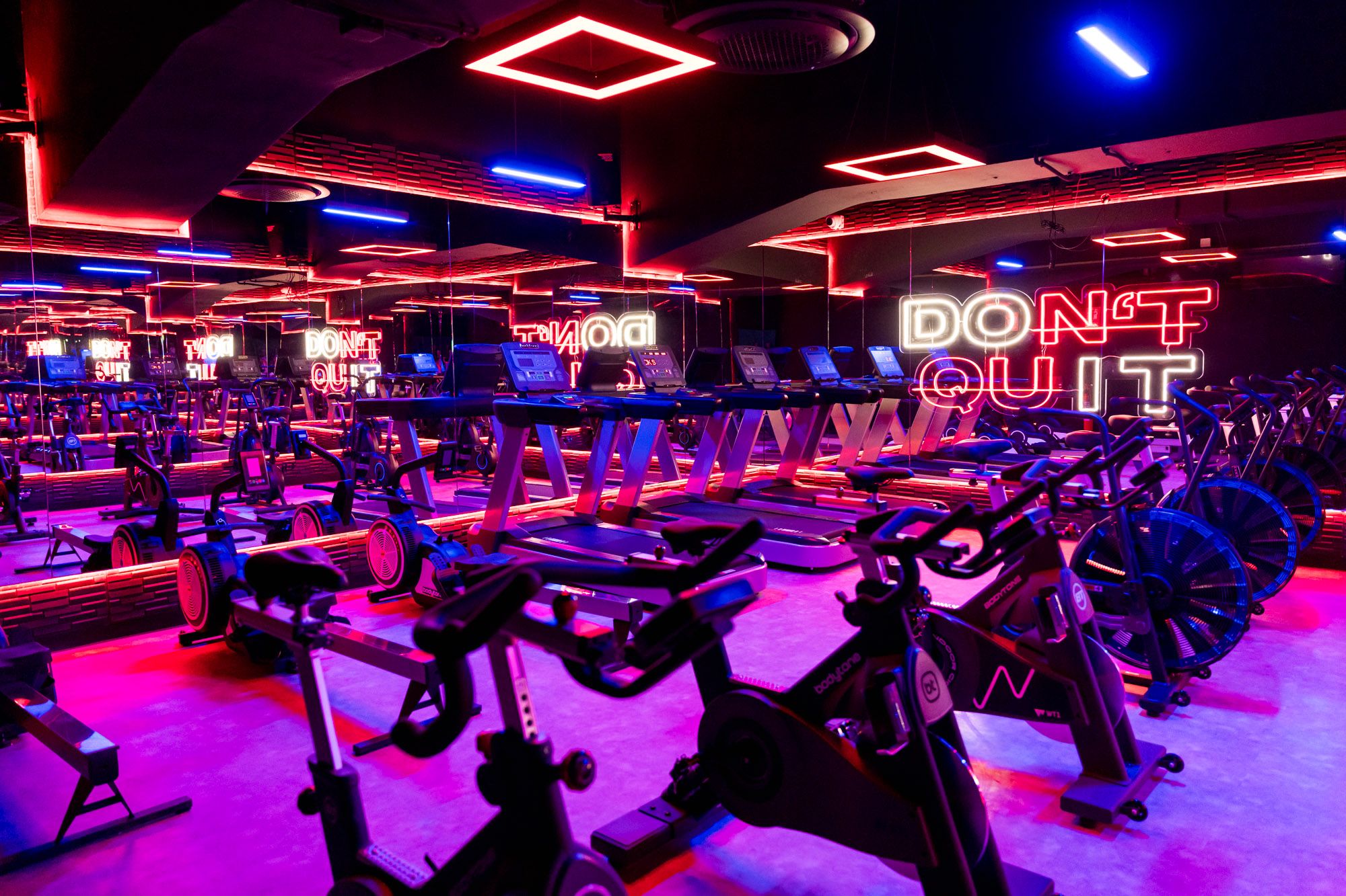 equipamiento bodytone cardio gimnasio