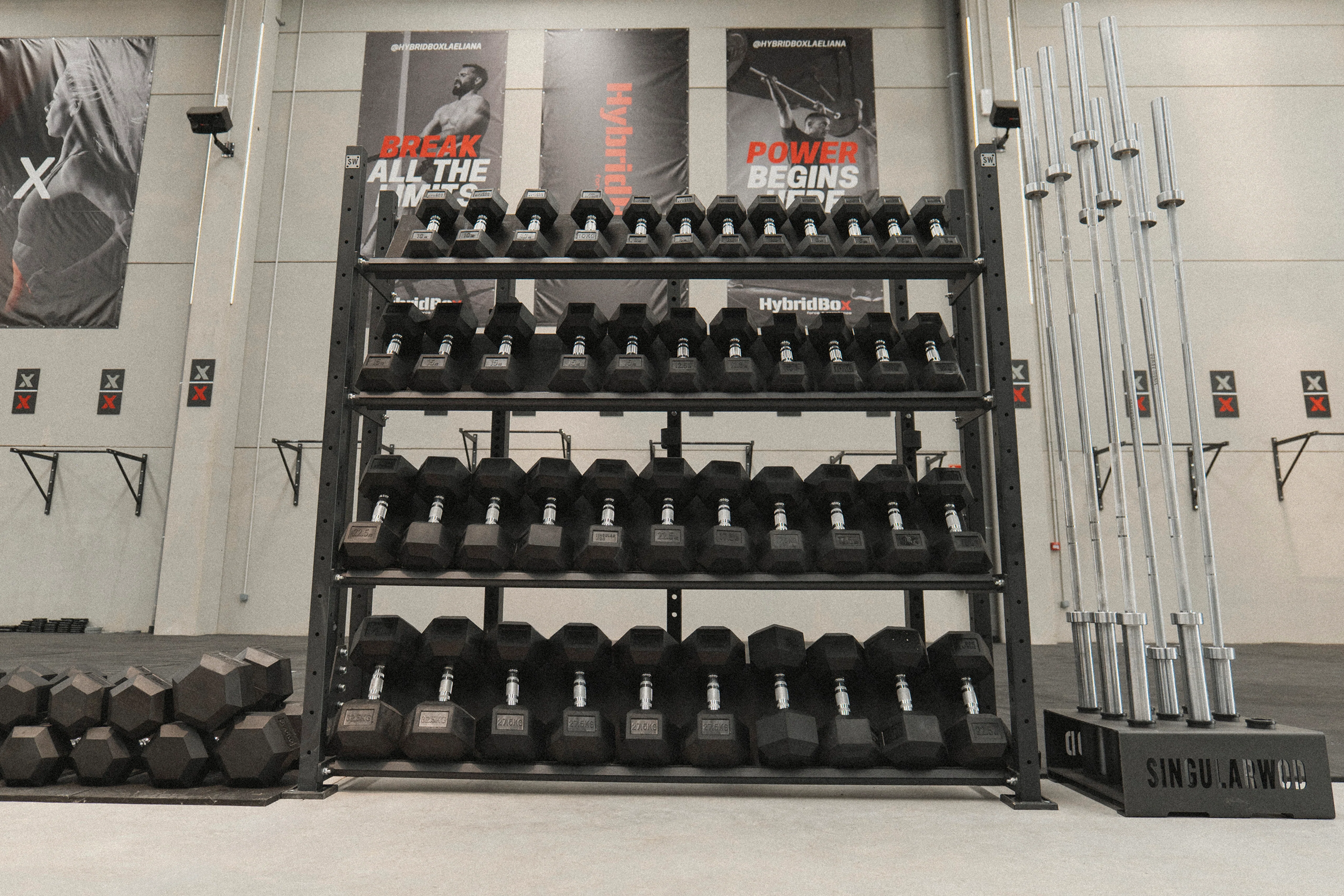 SINGULARWOD también dispone de una amplia gama de mancuernas ordenadas por pesos