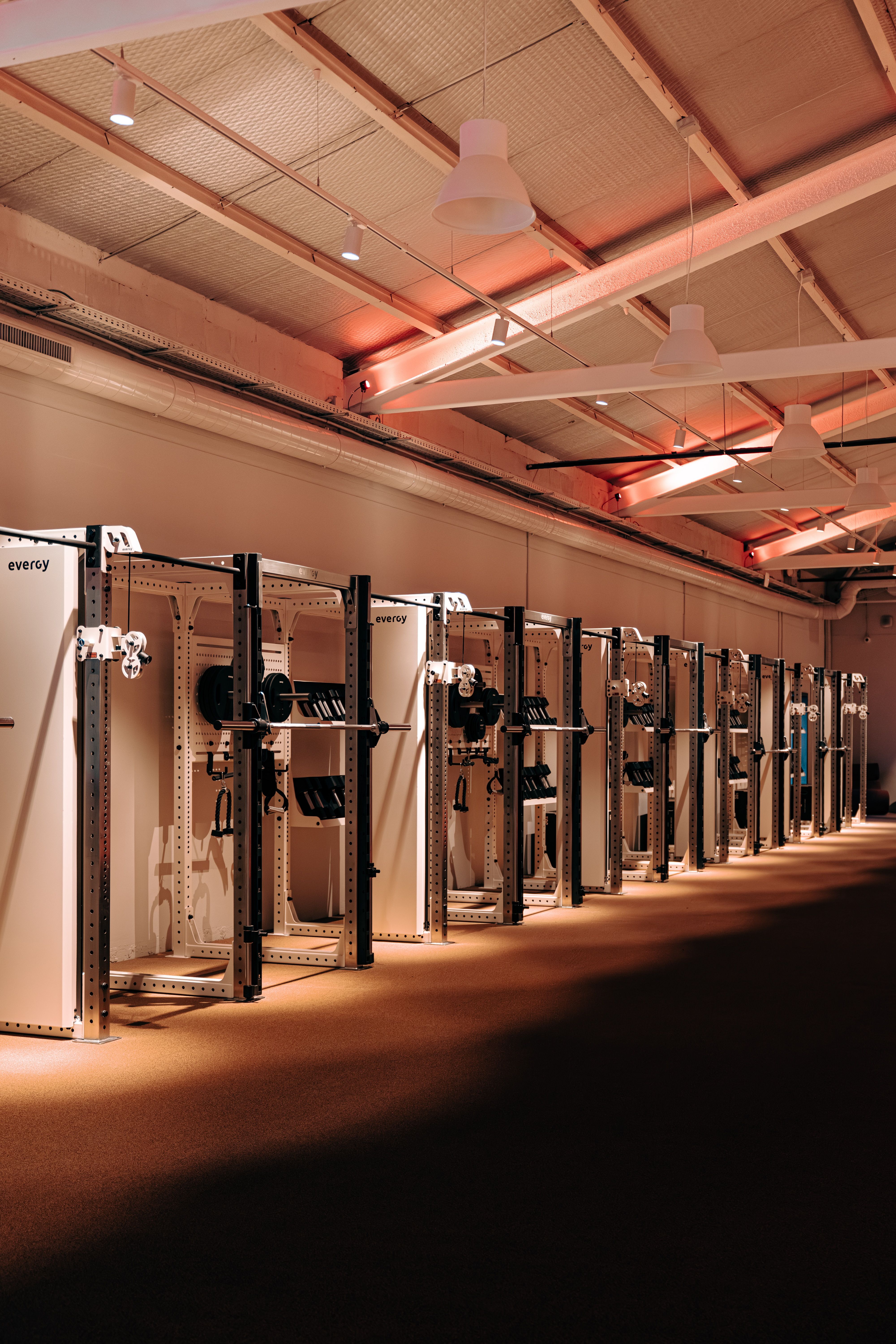 Aqua House gimnasio zona máquinas fuerza Evergy