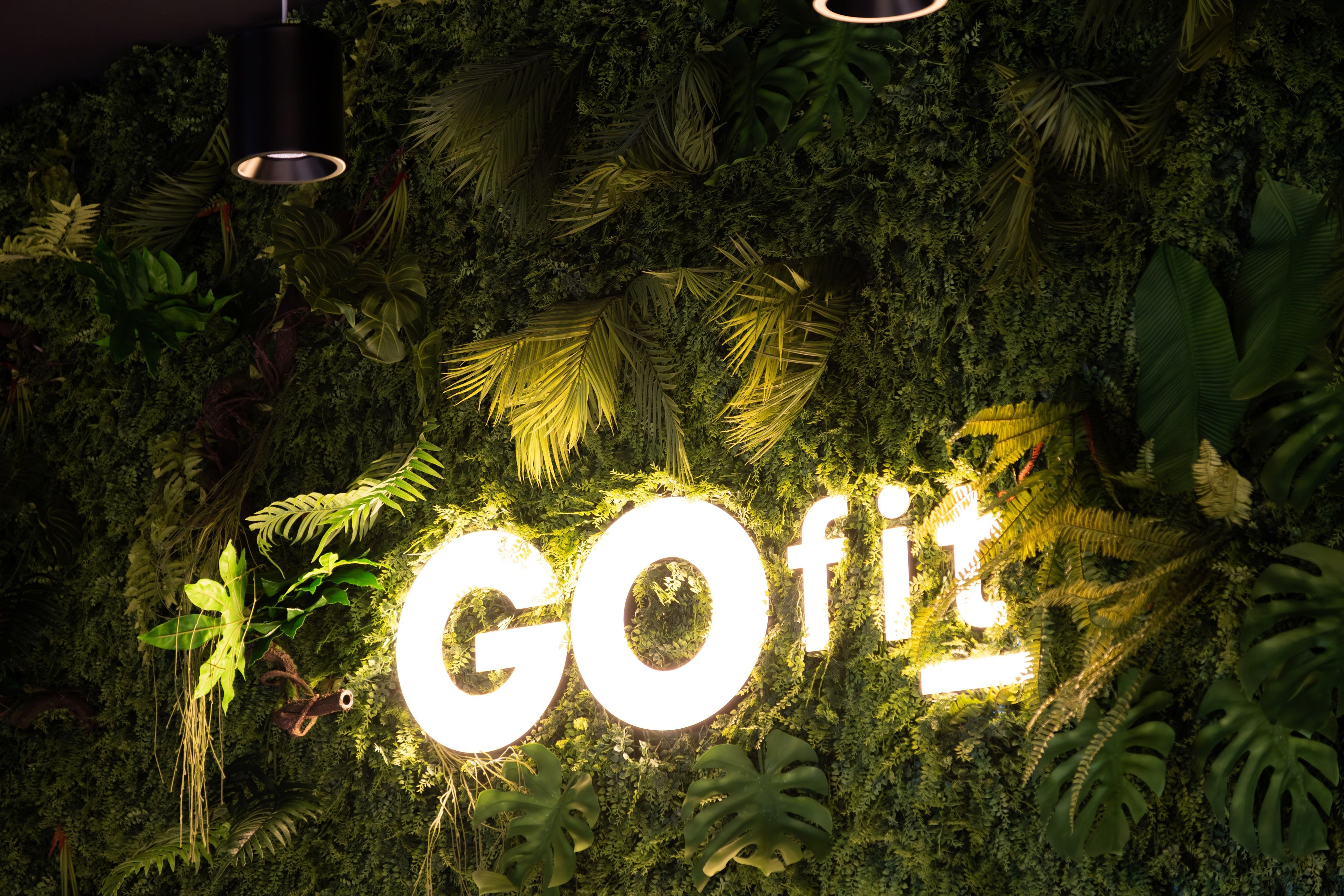 GOfit sostenibilidad