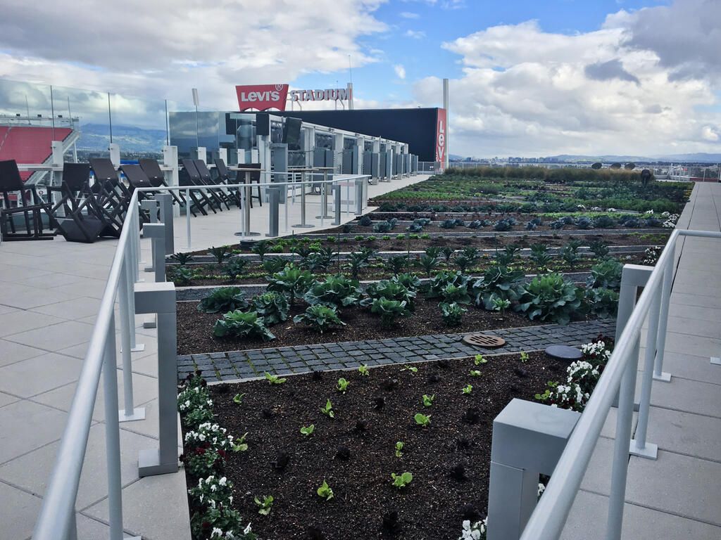El Levi's Stadium de San Francisco cuenta con una terraza de 3000 m2 cubierta con plantas y vegetación.