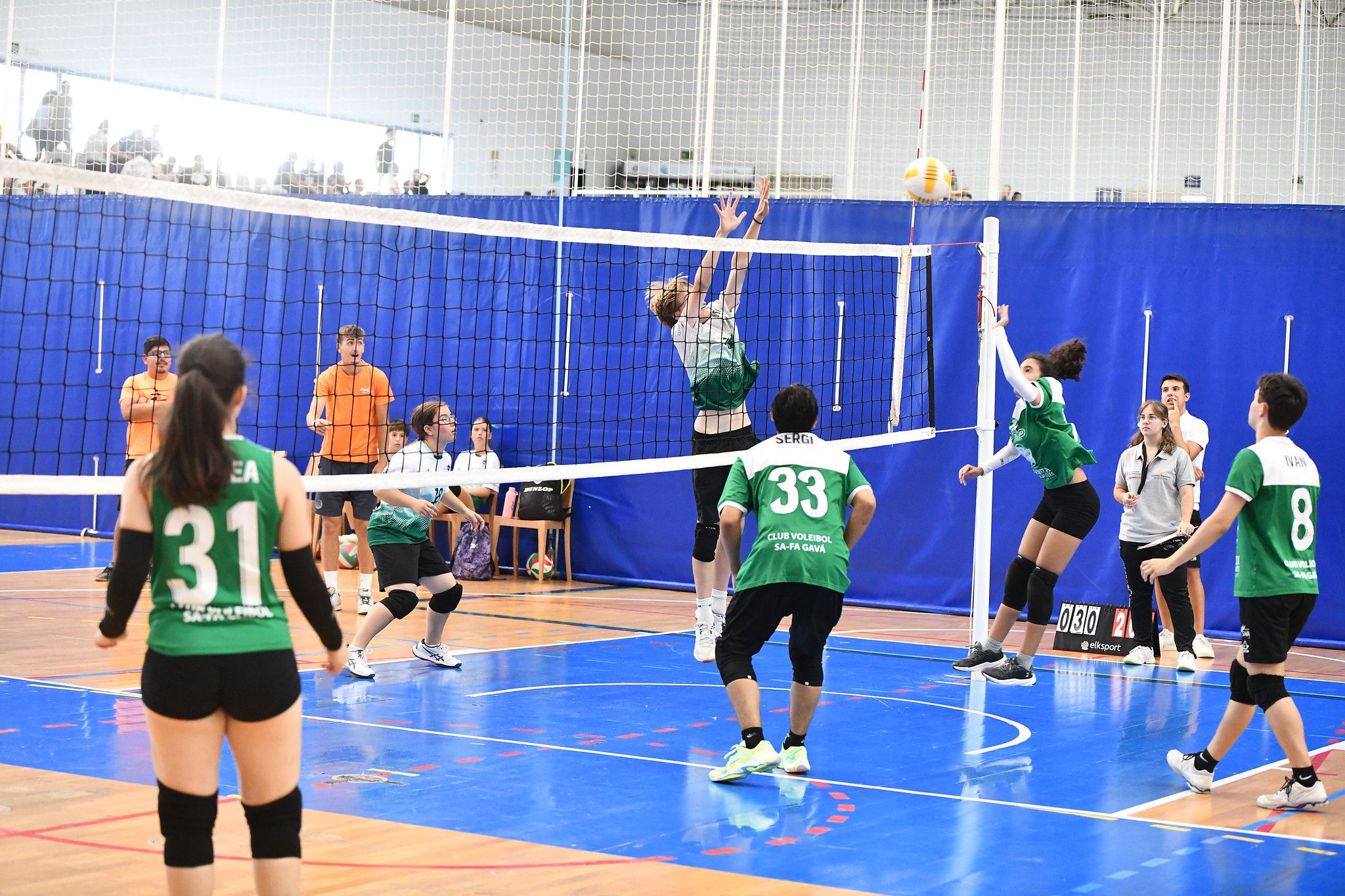 voleibol federativo