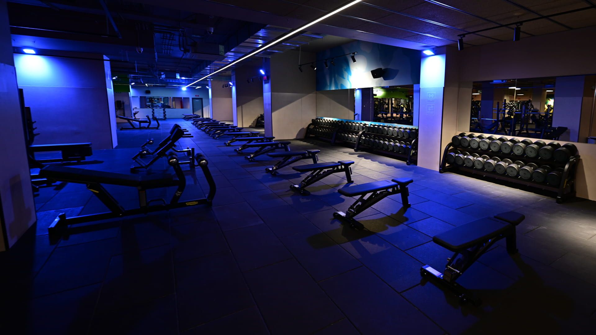 Dreamfit Coslada