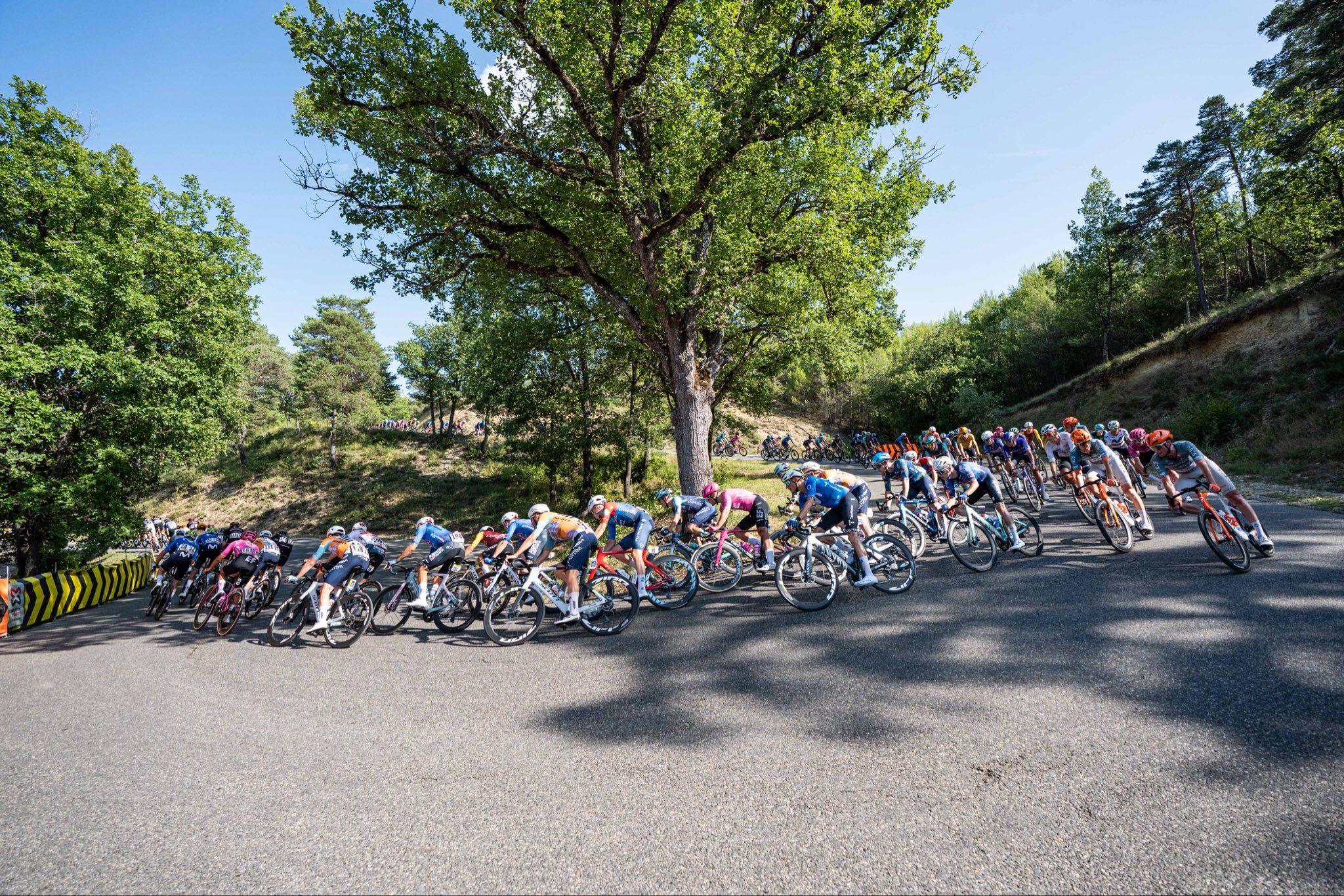 La Vuelta 2026 Foto vía Cxcling Creative Agency