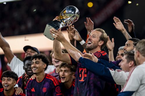 Harry Kane Bundesliga