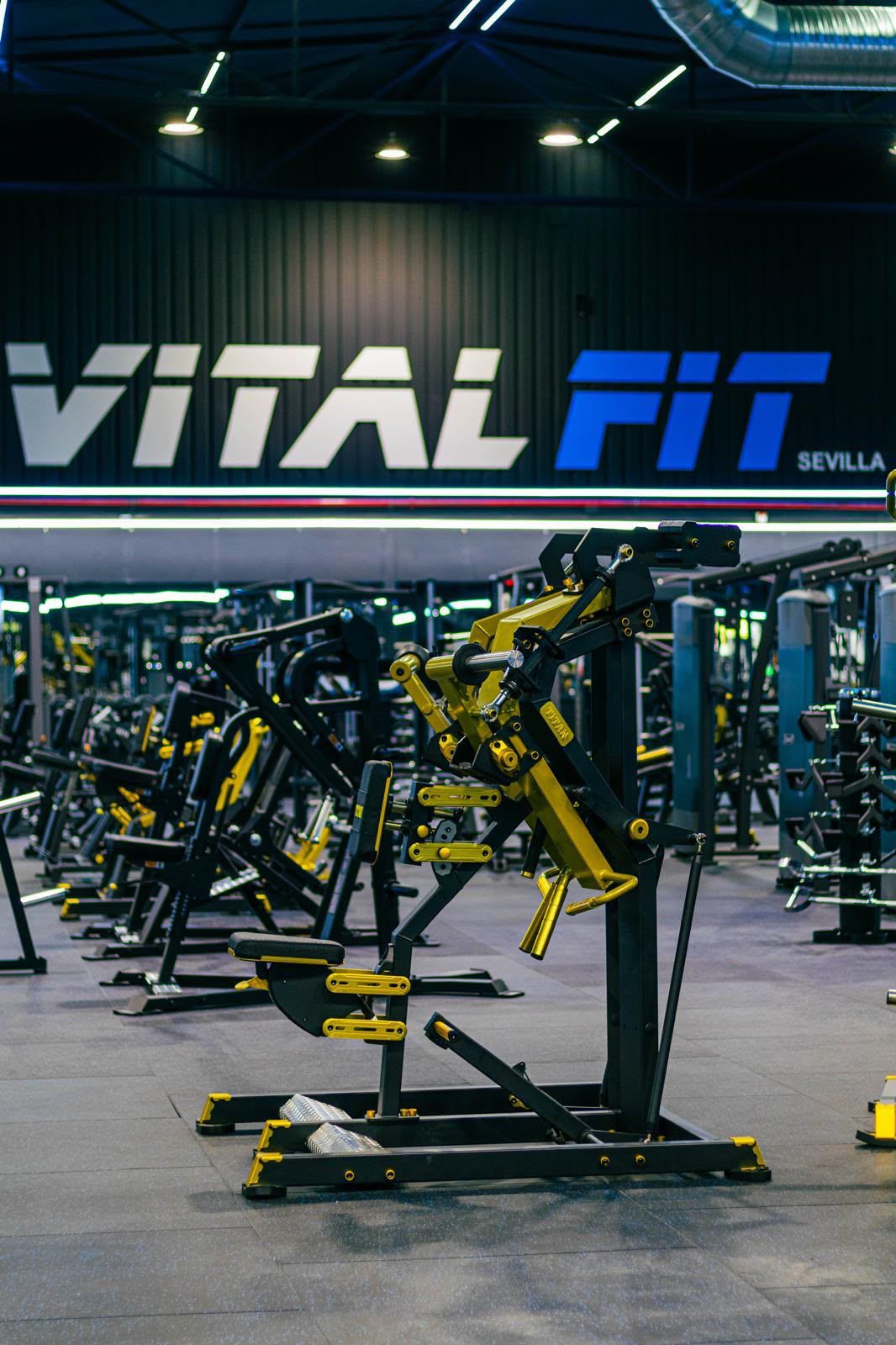 El proveedor ha equipado la instalación con máquinas de entrenamiento funcional, fuerza y cardio.