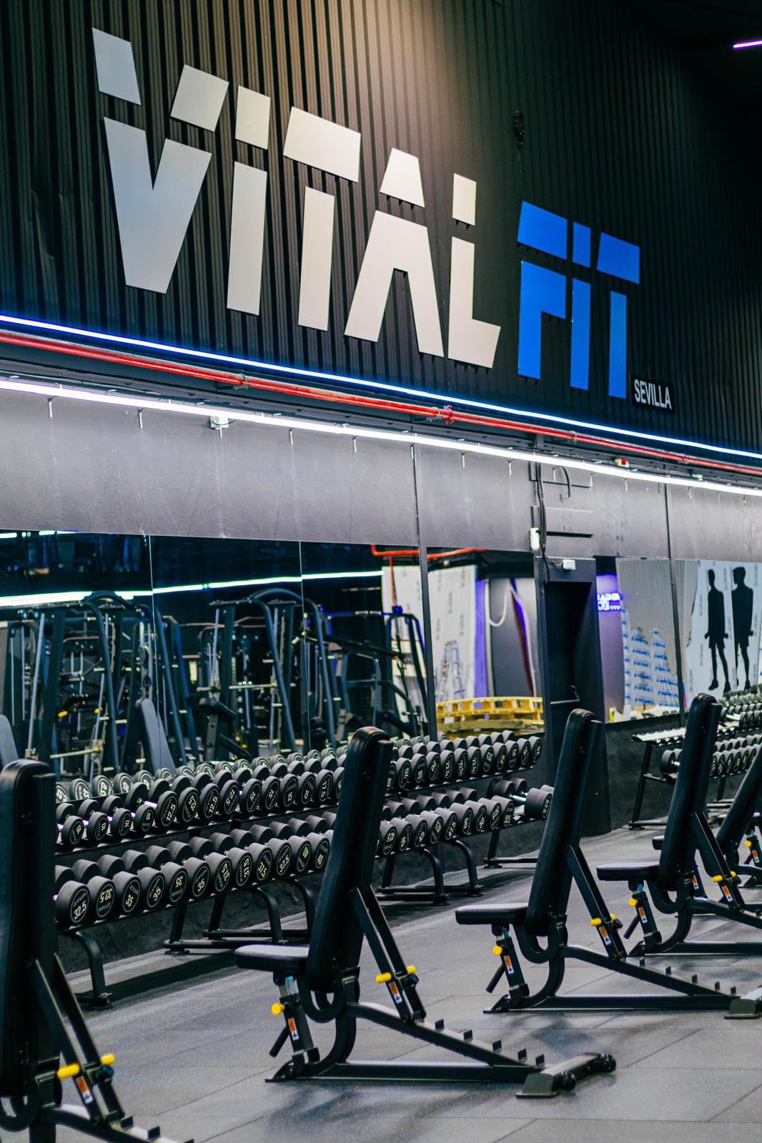 Así es el área de entrenamiento de fuerza del gimnasio.