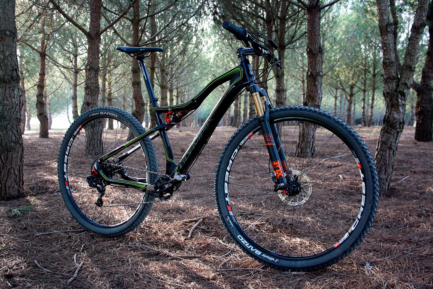 bicicleta olympia