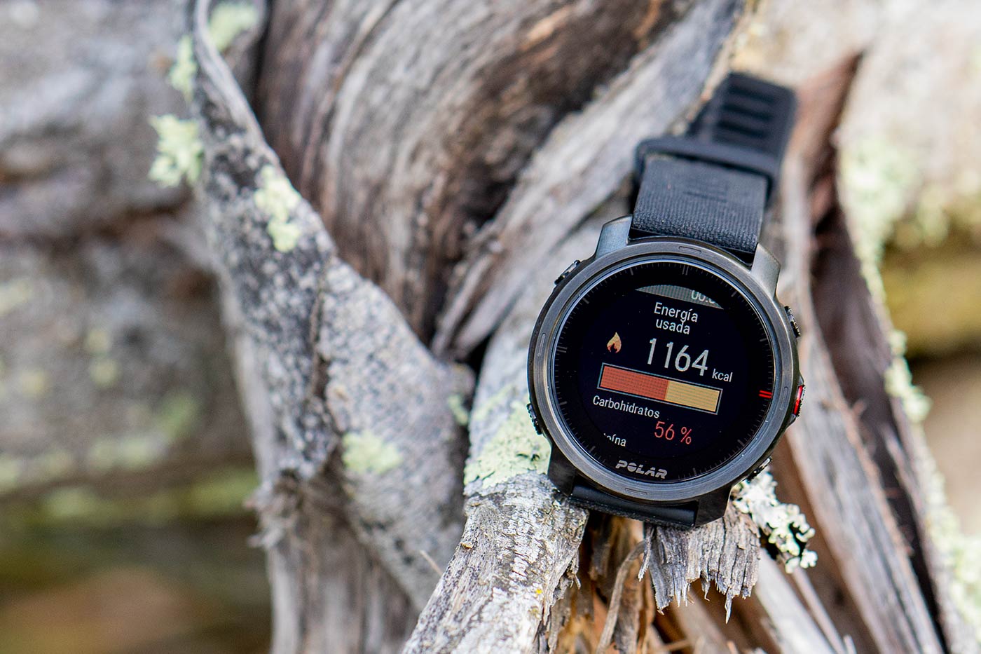 polar reloj