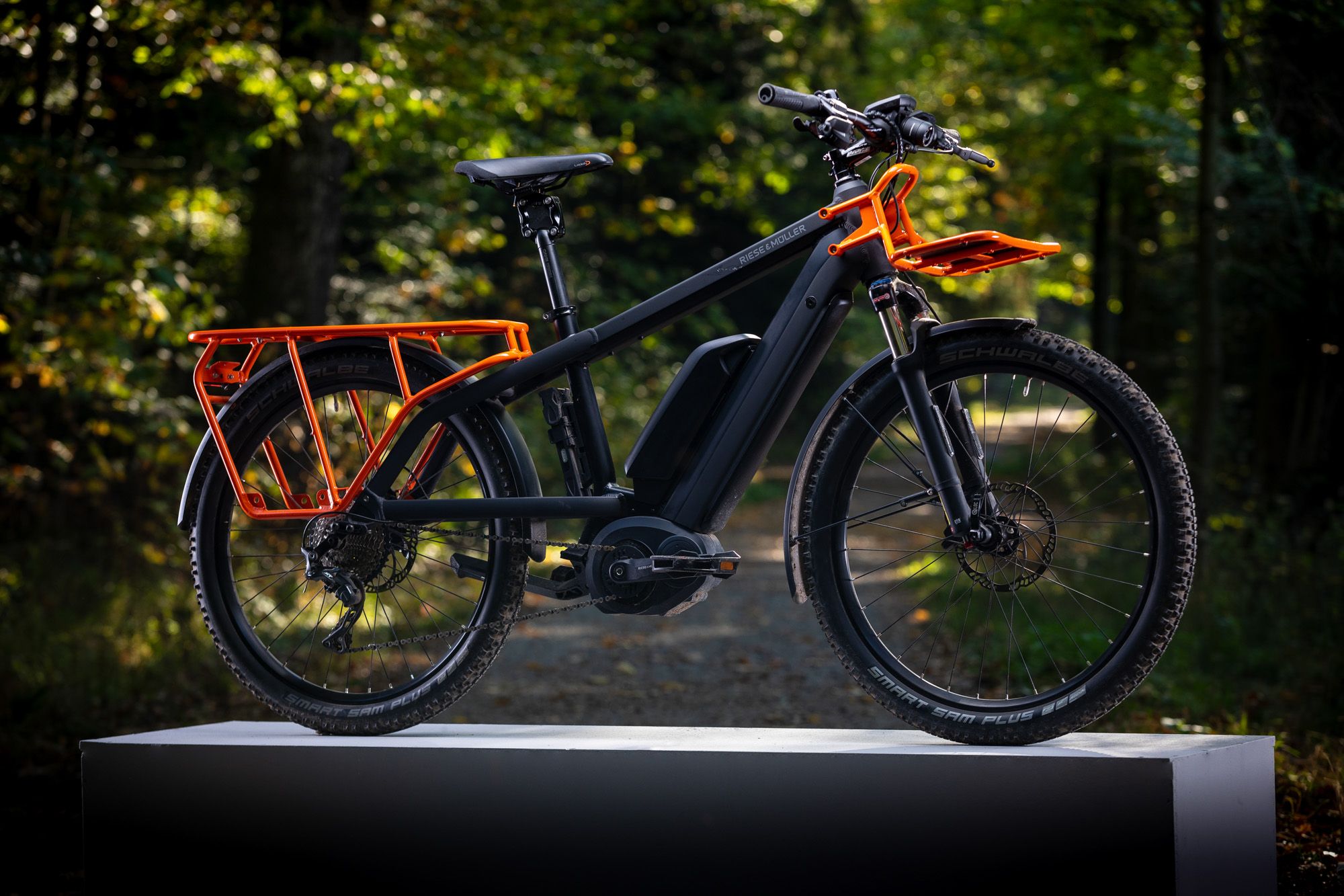 riese & muller bike