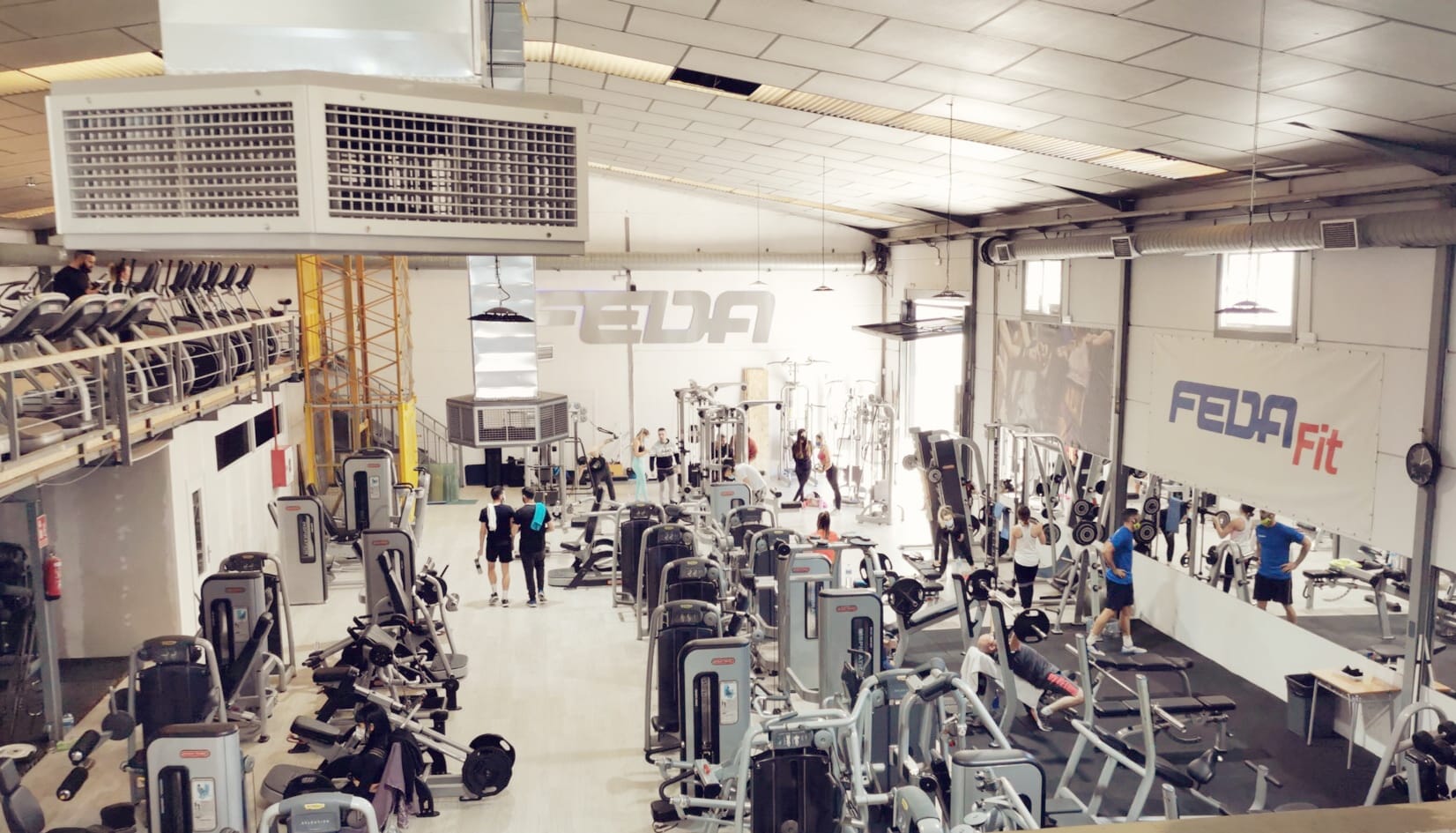 gimnasio fedafit