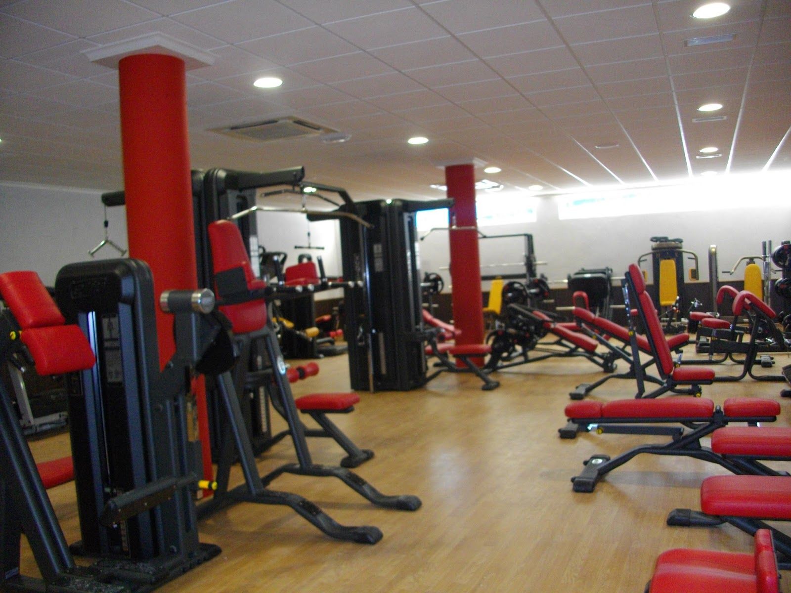Telju Fitness