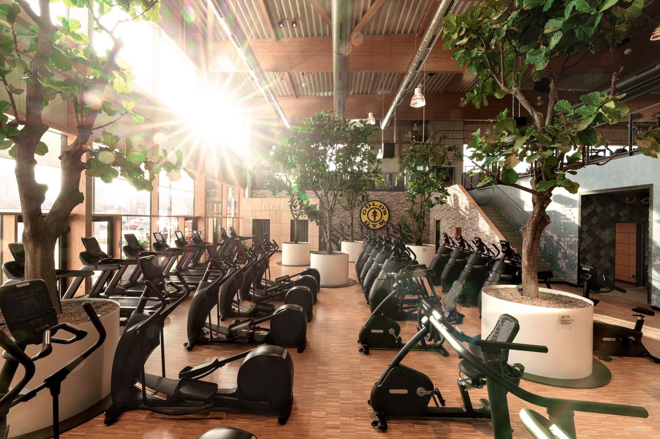 Gold's Gym, un gigante a la conquista de España con clube