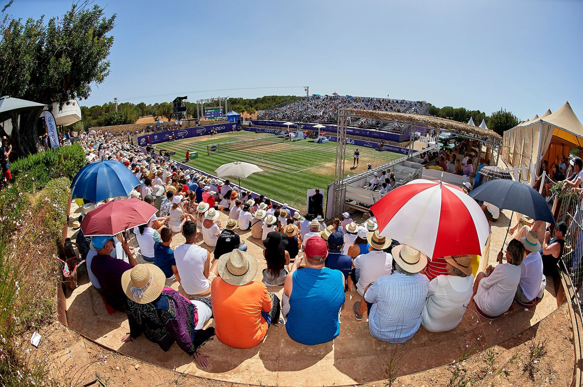 ATP Mallorca emotion