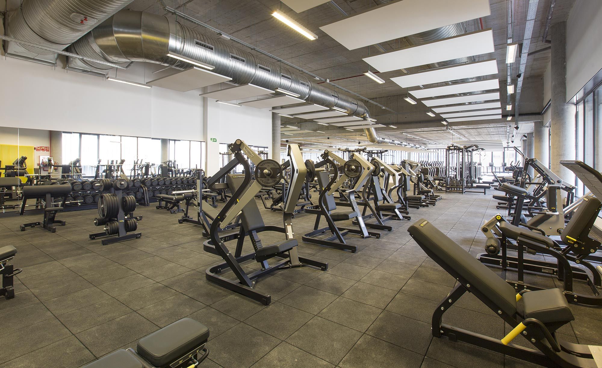 viding fitness