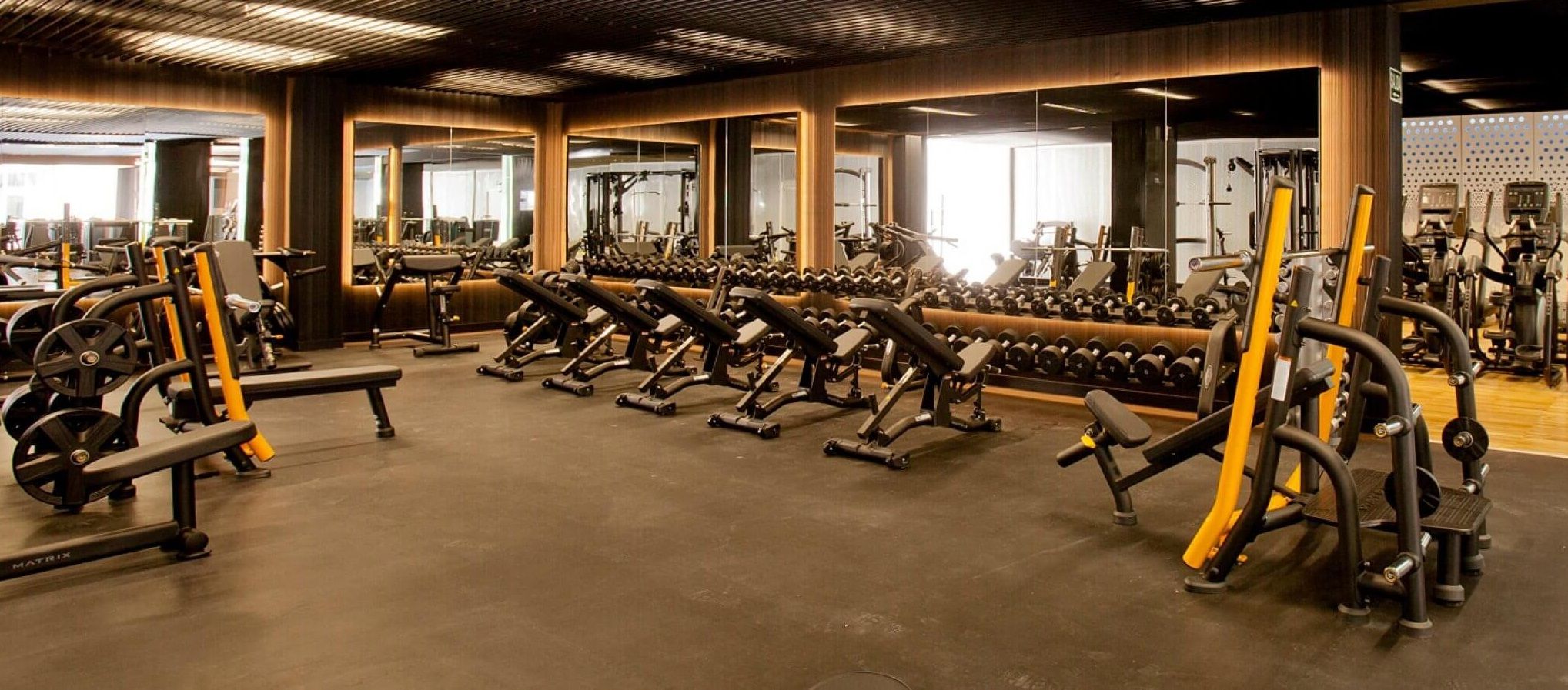 forus barceló musculación