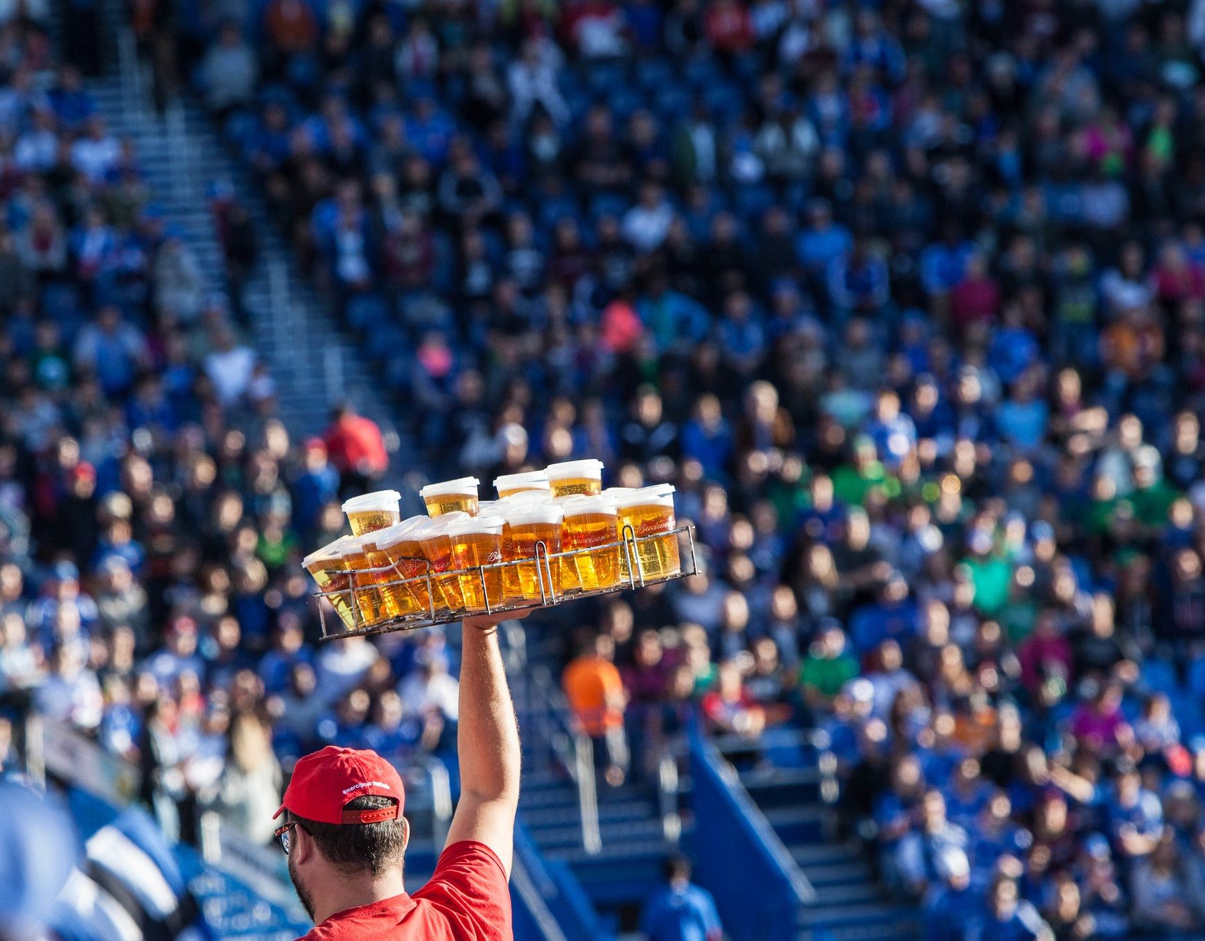 cerveza partido