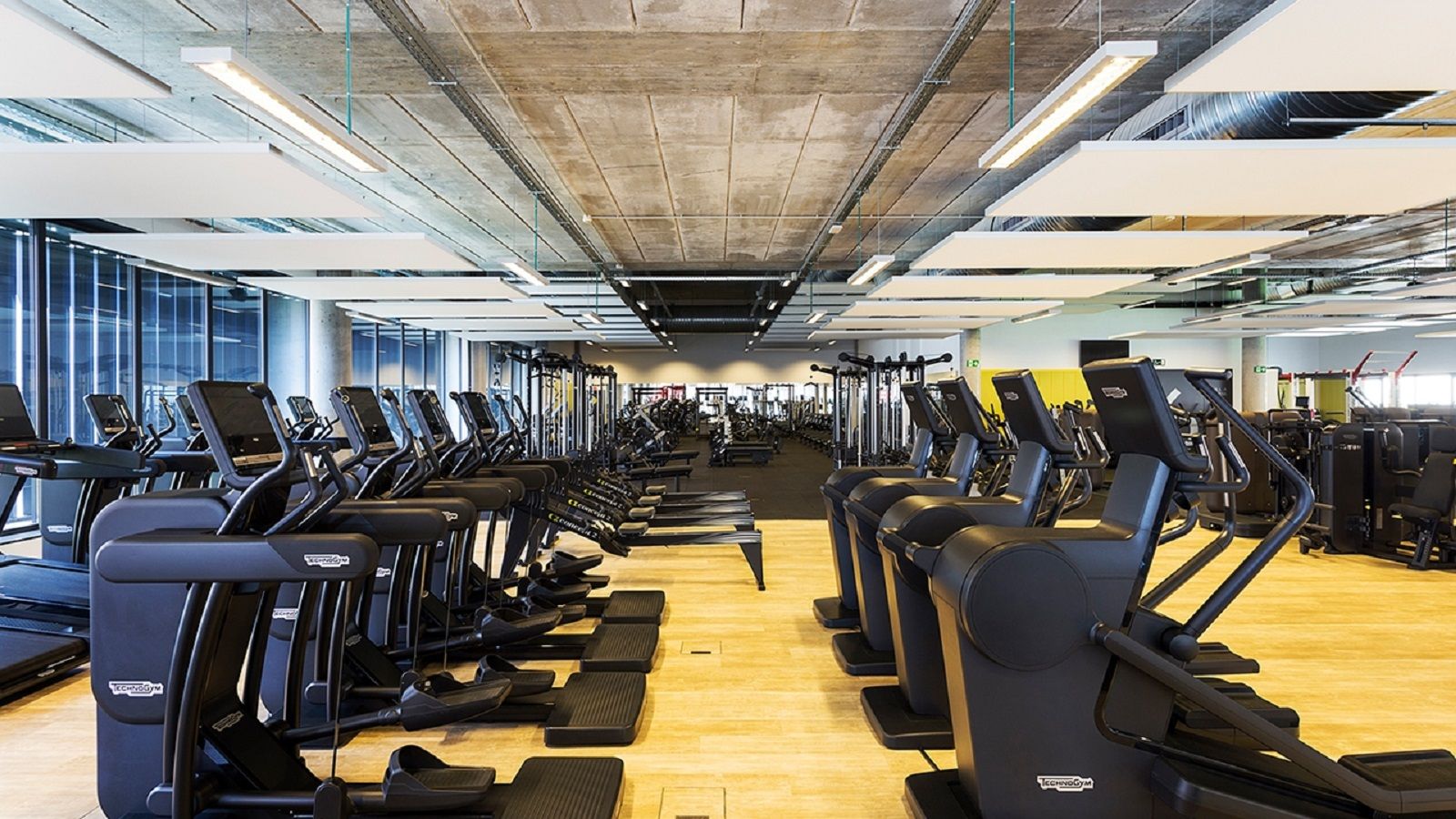 viding alcántara cardio